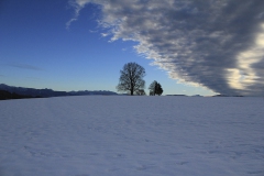 500px-102