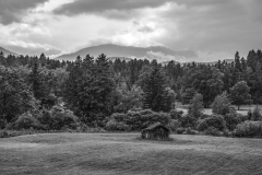 500px-113