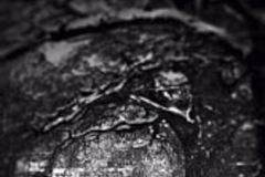 500px-13