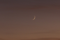 500px-20