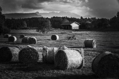 500px-24