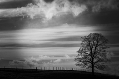 500px-59