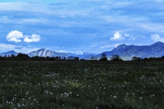 500px-64