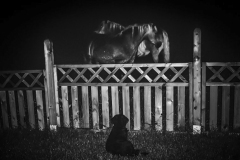 500px-71