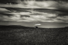 500px-8