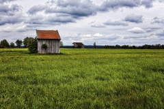 500px-99